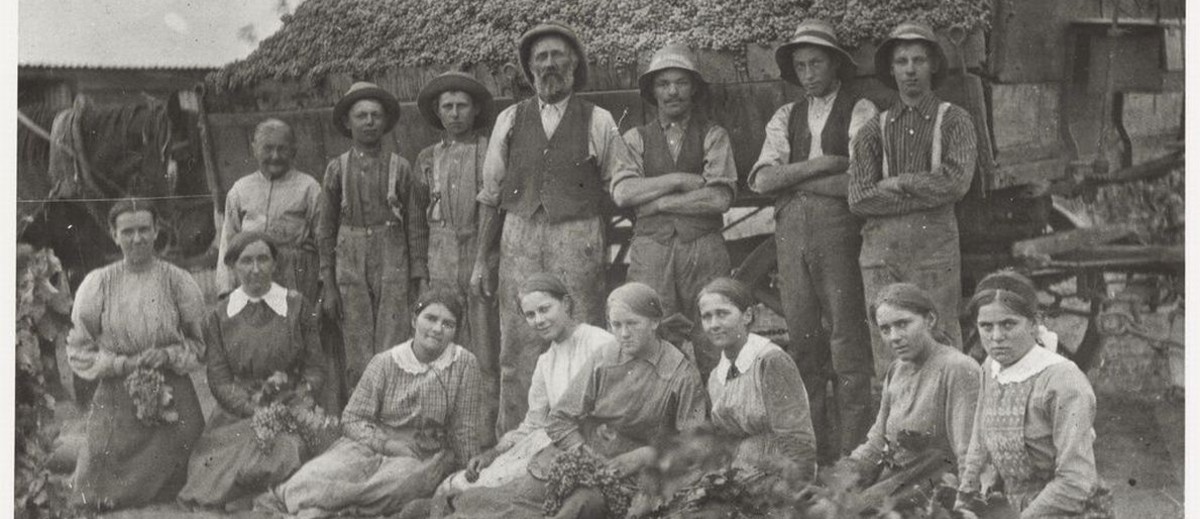 Image: Group of people in front of a large cart of harvested grapes