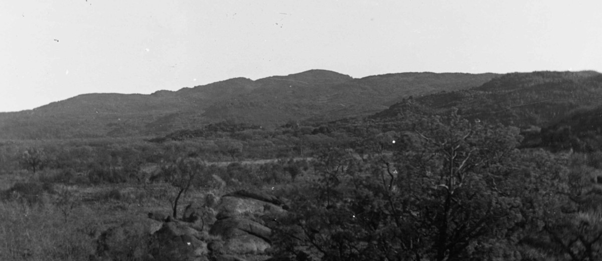 Image: Black and white photograph of mountain covered in native Australian vegetation with small rock outcrop in foreground