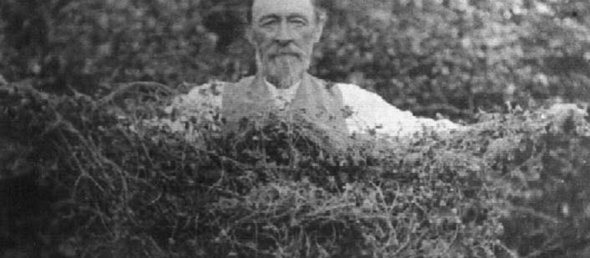 Image: A bearded middle-aged man wearing a waistcoat and trousers holds a clump of creeping vine between his two outstretched arms