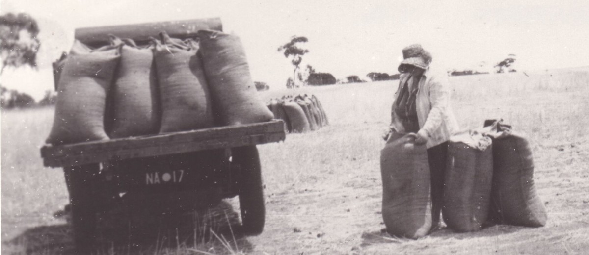 Image: woman standing with large hessian bags next to vehicle loaded with bags