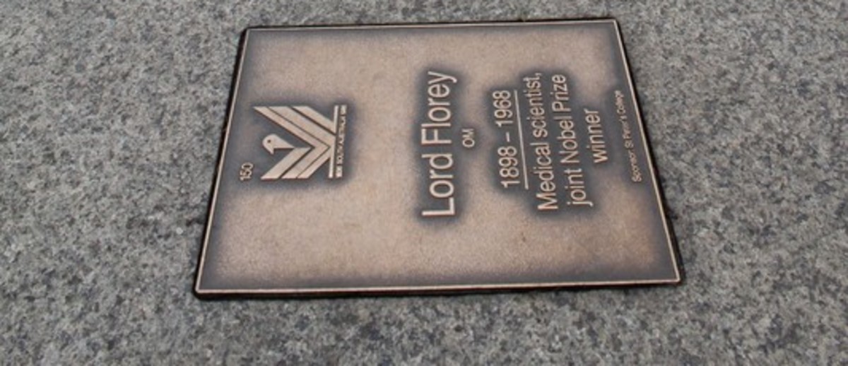 Image: bronze name plaques in pavement
