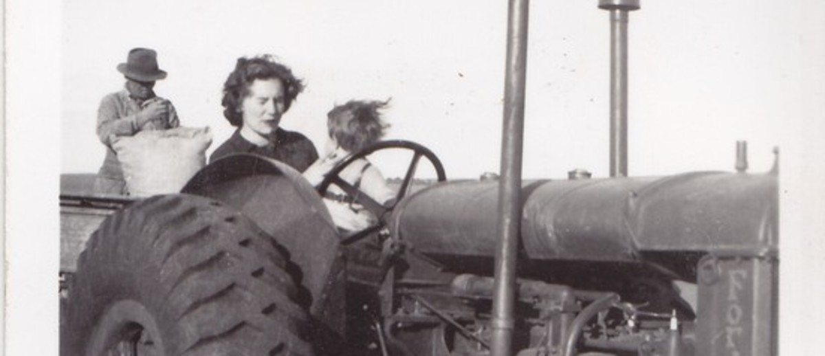 A woman and a small child sitting behind the steering wheel of a tractor.  A man behind them is sewing up a hessian bag.