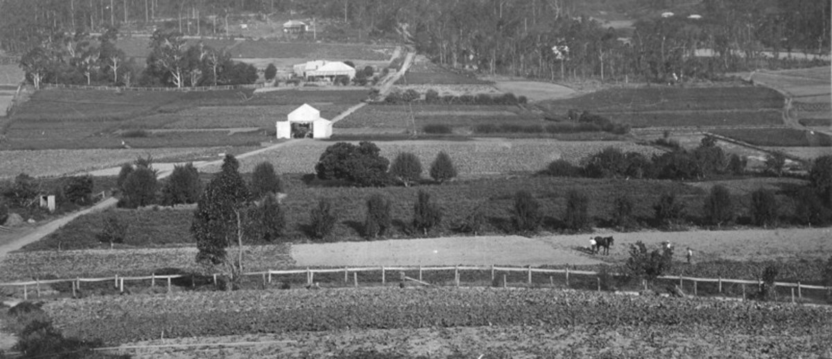 Image: view of farming properties 