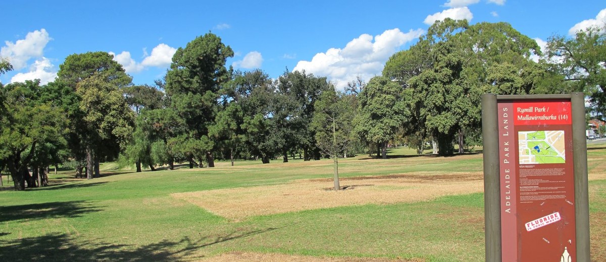 Image: a grassy park with a variety of species of trees. In the foreground is a  red and green sign with the name of the park (Rymill Park/Mullawirraburka), some other printed text which cannot be made out in this photograph, and a map. 