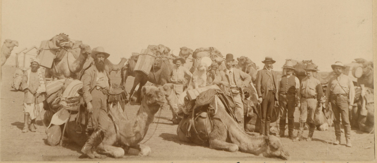Image: ten camels, all with luggage and saddlebags tied to them with rope, and eight men preparing for an expedition