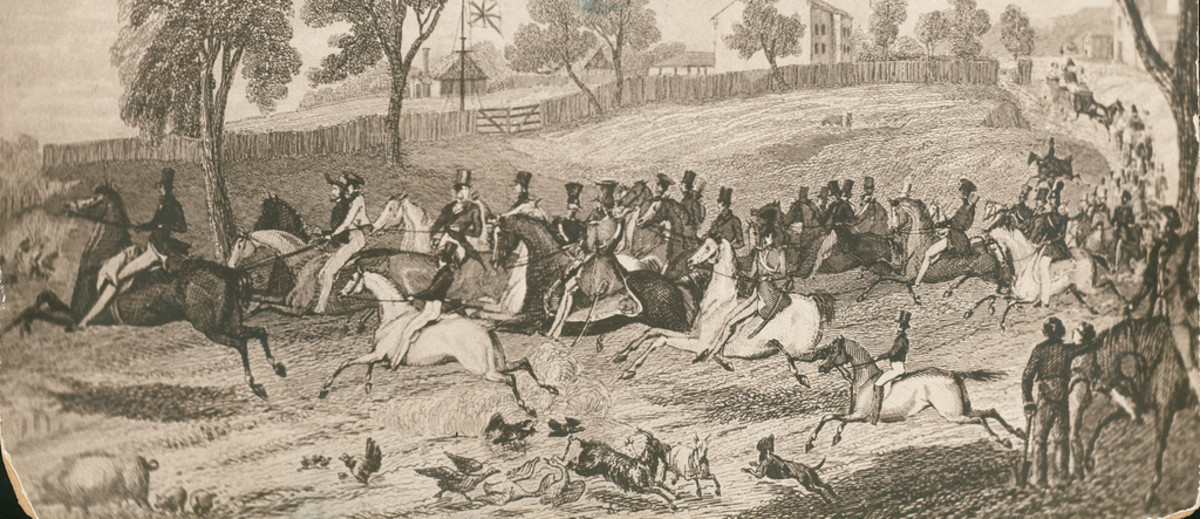 Image: This sketch depicts a rushed departure from Adelaide by expedition members. Top hatted gentlemen and soldiers on horseback can be seen galloping down a hill and round a corner. In the foreground chickens, geese, goats and dogs are running.