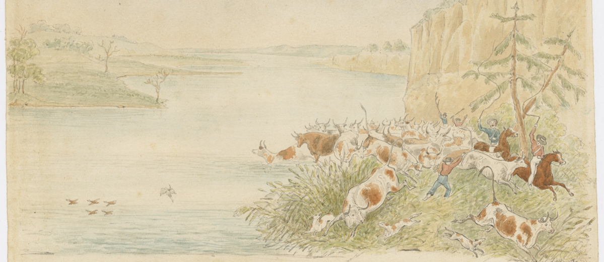 Image: A 1939 painting of men with dogs and horses crossing cattle over a major river.