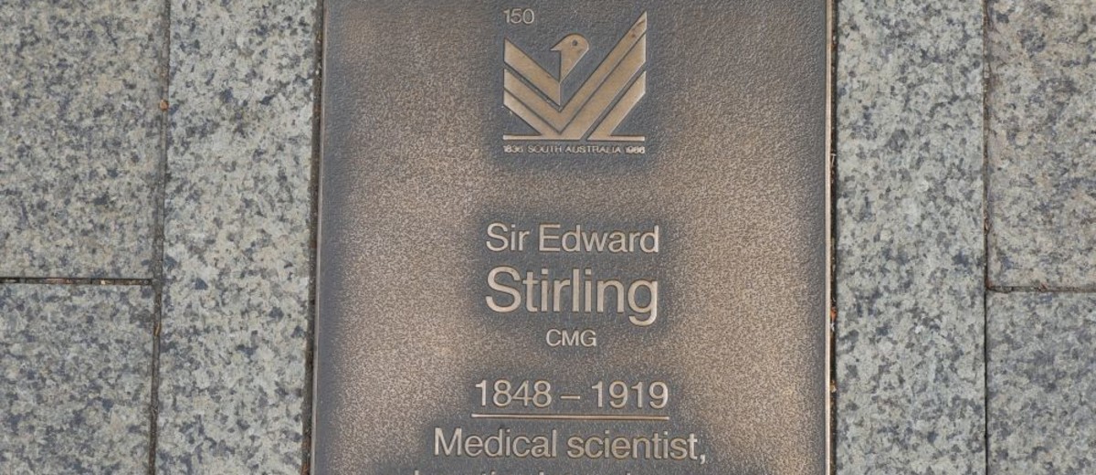 Image: Sir Edward Stirling Plaque 