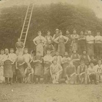 Image: A large group of men in working clothes, some wearing aprons, pose for a photograph in front of a ladder leaning on a large stack of wattle bark. To the right of the photograph, one man kneels holding a small dog.