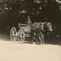 Image: woman driving horse and buggy in park