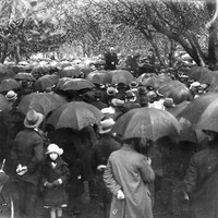 Image: Crowd of people with umbrellas gathered at anti-war public meeting