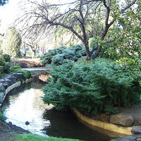 Image: A creek winds through a landscaped wooded parkland. A footpath follows the course of the creek
