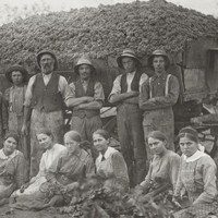 Image: Group of people in front of a large cart of harvested grapes