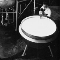 Image: A young Caucasian man in a white laboratory coat uses an industrial mixer to combine chemicals in a large steel vat. Large metal storage tanks are visible in the immediate background