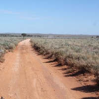 Image: red dirt road in outback South Australia