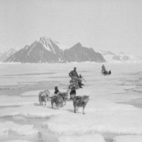 Image: man on sled pulled by dogs in the snow