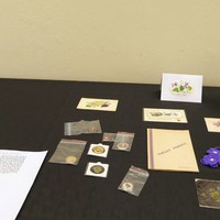Image: Display featuring posy of violets, badges and postcards