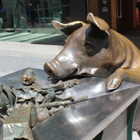 Oliver, bronze pig from A Day Out by Marguerite Derricourt, Rundle Mall, Adelaide