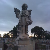 Image: Stone angel with graves visible in the background