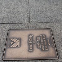 Image: bronze name plaques in pavement