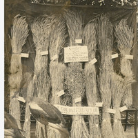 Image: display of bundles of wheat