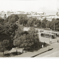 Image: view of trees and two trams