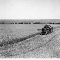 Image: tractor in field
