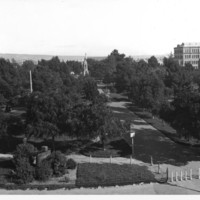 Image: View of trees and paths in city square