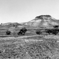 Image: large hill with small bushes in foreground