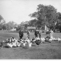 Image: four people with chickens