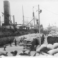 Image: large number of hessian bags being loaded or unloaded from steam ships