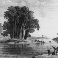 Image: Drawing of river with small vegetated island in its centre. Indigenous Australians stand on the right river bank, on the island and by a small shelter in the foreground. A small canoe travels along the water to the right of the picture.