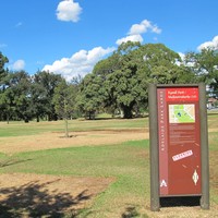 Image: a grassy park with a variety of species of trees. In the foreground is a  red and green sign with the name of the park (Rymill Park/Mullawirraburka), some other printed text which cannot be made out in this photograph, and a map. 