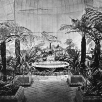 Image: Ferns and fountain in a glasshouse