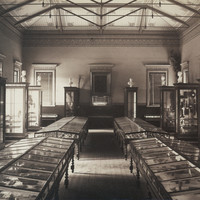 Image: Museum exhibition with wooden cabinets