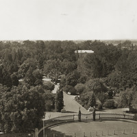 Image: View of a building in the distance, across trees of botanic garden