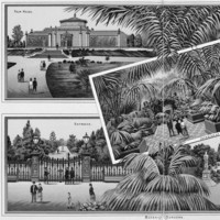 Image: Advertising print image of a glasshouse and pond in a botanic garden