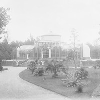 Image: Glasshouse in botanic garden