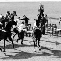 Image: Men and horses playing musical chairs