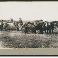 Image: Photograph of farmers and horses pulling a harvester