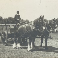 Image: Man sitting in a wagon drawn my two horses