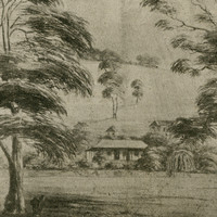 Image: photograph of a drawing showing the homestead at Bungaree Station