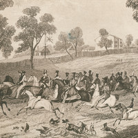 Image: This sketch depicts a rushed departure from Adelaide by expedition members. Top hatted gentlemen and soldiers on horseback can be seen galloping down a hill and round a corner. In the foreground chickens, geese, goats and dogs are running.