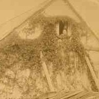 Image: A oval photograph of a single storey rectangular cottage with an attic space under the gable roof, a small window in the gable end in which a woman's face can be seen and a single chimney. The house is covered in vines.