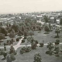 Image: Historic photograph of formal gardens surrounded by houses. The photograph has been taken from a high angle and looks westward from the North Adelaide Congregational Church.
