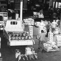 Image: men and women unload boxes of fruit and vegetables from 1980s era trucks in a covered market with shops lining one wall