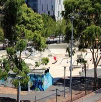 Image: a skateboarder makes use of a specialist skate park, set amongst trees. The backs of the ramps are covered in graffiti. 