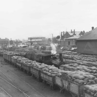 Image: Several train cars full of sacks are parked on a long wharf. A steam locomotive is positioned within the midst of the train cars. Three large stone buildings are visible in the background