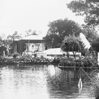 Image: A black and white photograph of a building seen from across an artificial lake with large clumps of water reeds in the foreground. 