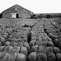 Image: wool bales in front of building